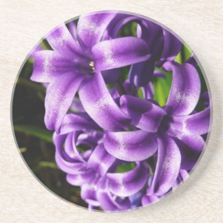 Blue Hyacinth II Spring Floral Coaster