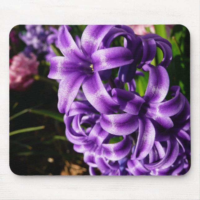 Blue Hyacinth II Spring Floral Mouse Pad (Front)