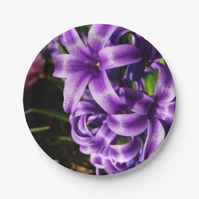 Blue Hyacinth II Spring Floral Paper Plate (Front)