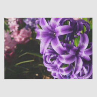 Blue Hyacinth II Spring Floral Tissue Paper