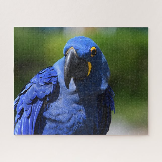 Blue Hyacinth Macaw  Jigsaw Puzzle (Horizontal)