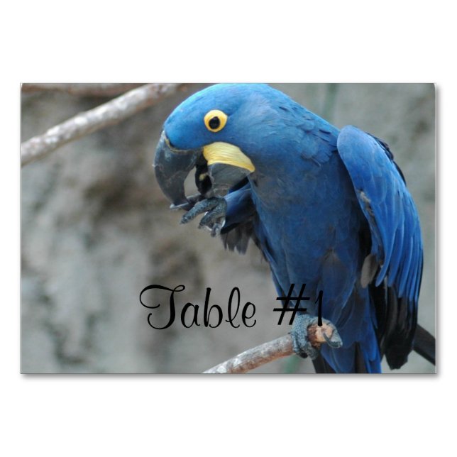 Blue Hyacinth Macaw Table Number (Front)