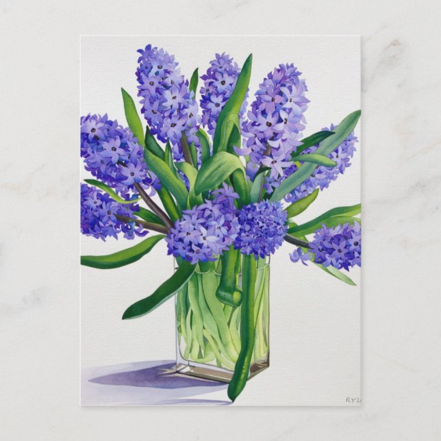 Blue Hyacinths Postcard (Front)