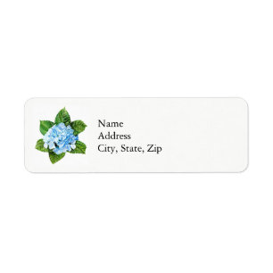 Blue Hydrangea