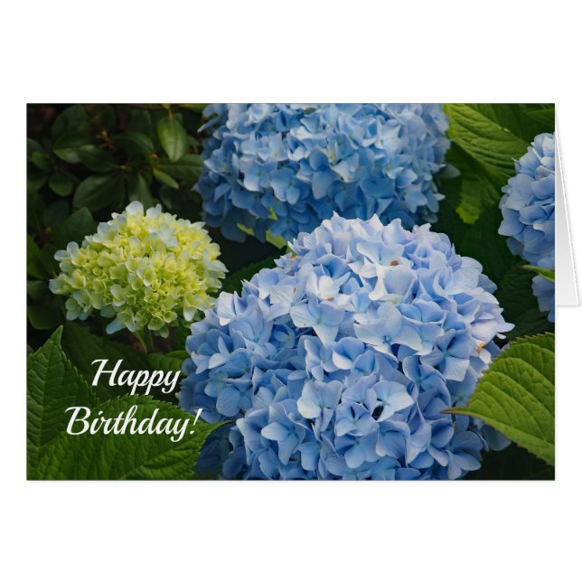 Blue Hydrangea 814 Birthday Card (Front Horizontal)