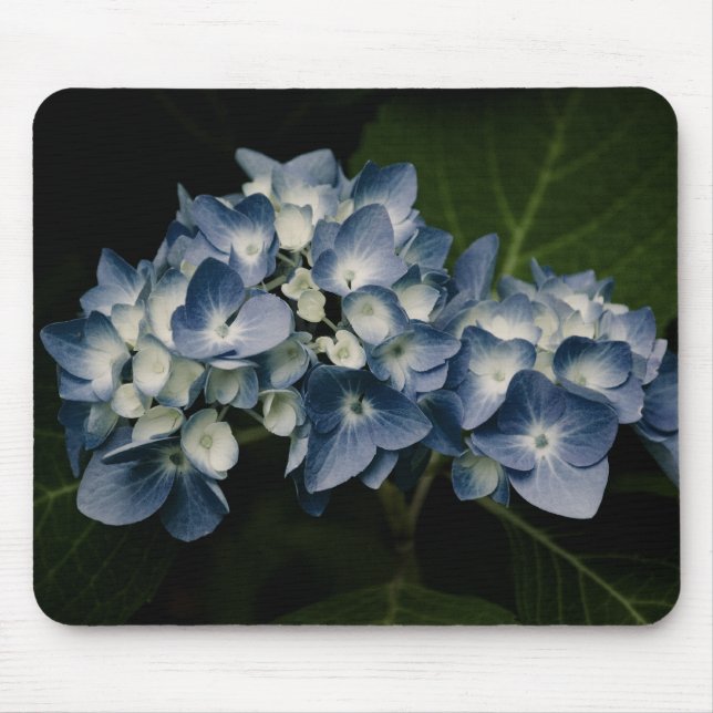 Blue Hydrangea 8514 Mousepad (Front)