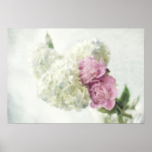 Blue Hydrangea and Pink Peony Print