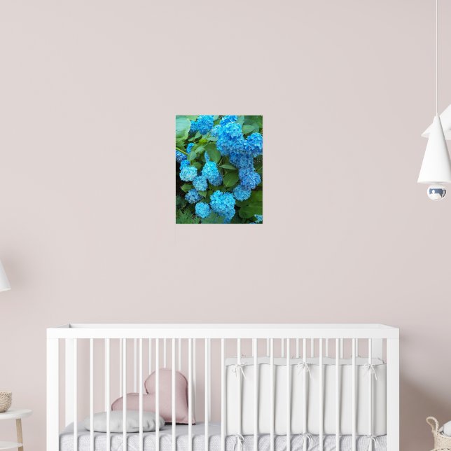 Blue Hydrangea Blooms Floral Poster (Nursery 2)