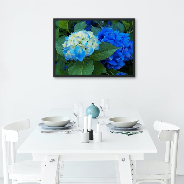 Blue Hydrangea Blooms Floral Poster (In Situ)