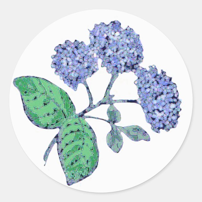 Blue Hydrangea Classic Round Sticker (Front)