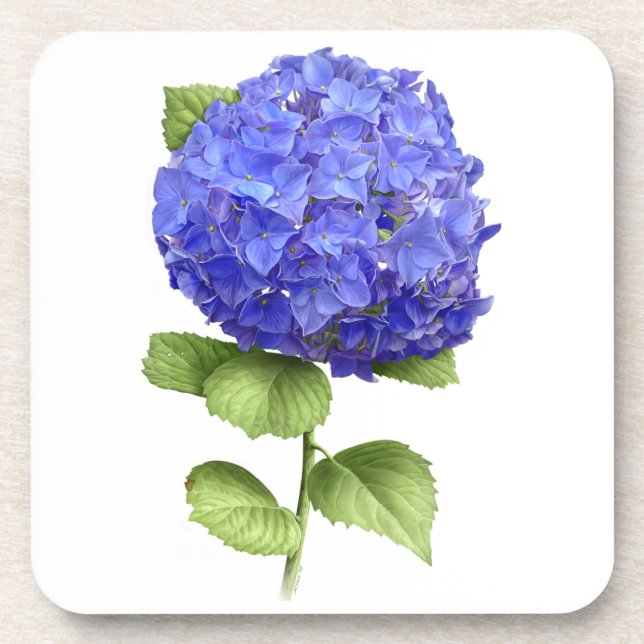 Blue Hydrangea Coaster (Front)