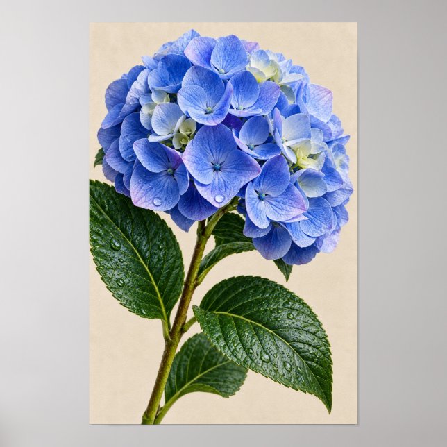 Blue Hydrangea Floral Wall Art (Front)