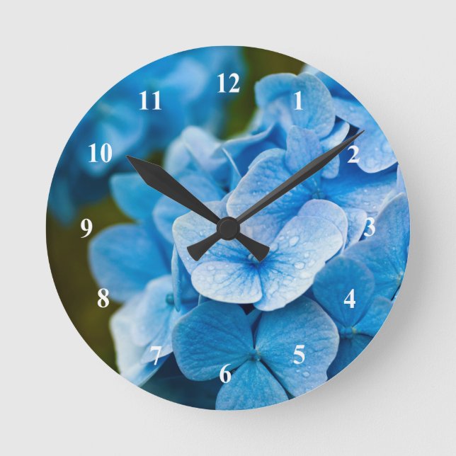 Blue Hydrangea flower Acrylic wall clock (Front)