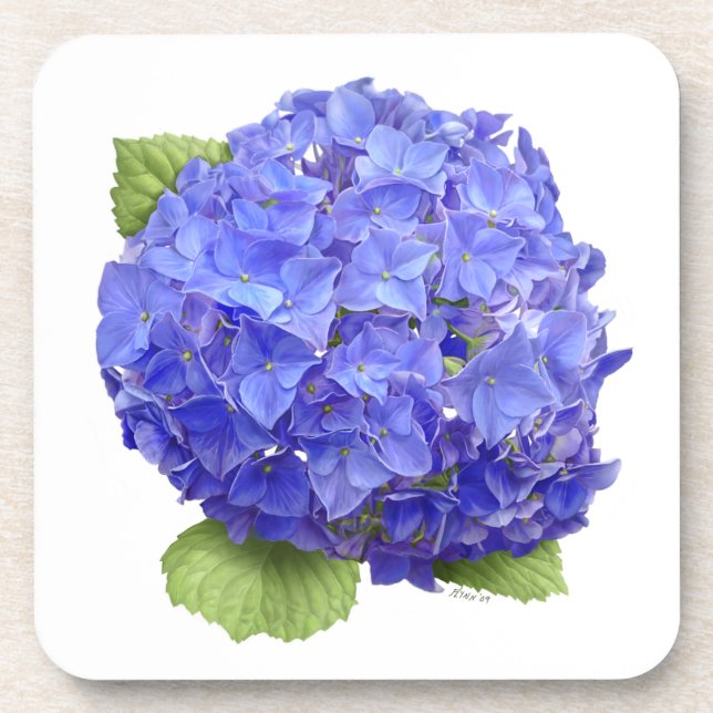 Blue Hydrangea Flower Coaster (Front)