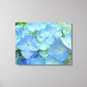 Blue Hydrangea Flower Fine Art Print Canvas