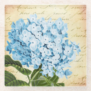 Blue Hydrangea Flower Vintage Botanical Glass Coaster