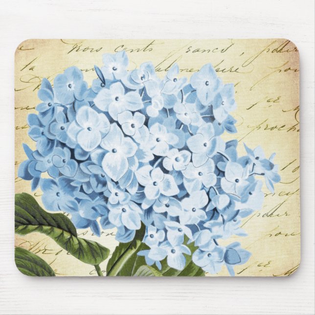 Blue Hydrangea Flower Vintage Botanical Mouse Pad (Front)