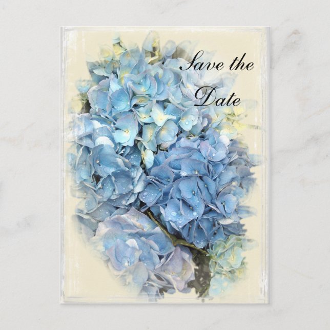 Blue Hydrangea Flower Wedding Save the Date Announcement Postcard (Front)