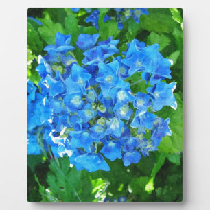 Blue hydrangea flowers. Floral photography. Plaque