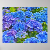 Blue Hydrangea Flowers Floral Watercolor Style Art
