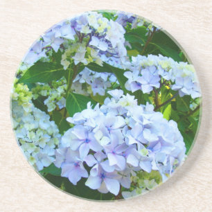 Blue Hydrangea flowers sandstone coasters