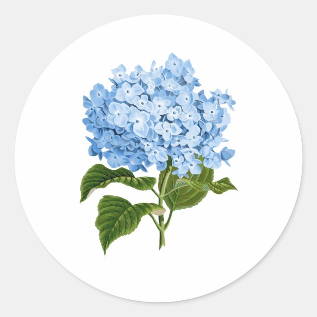Blue Hydrangea Grandmillennial Classic Round Sticker (Front)