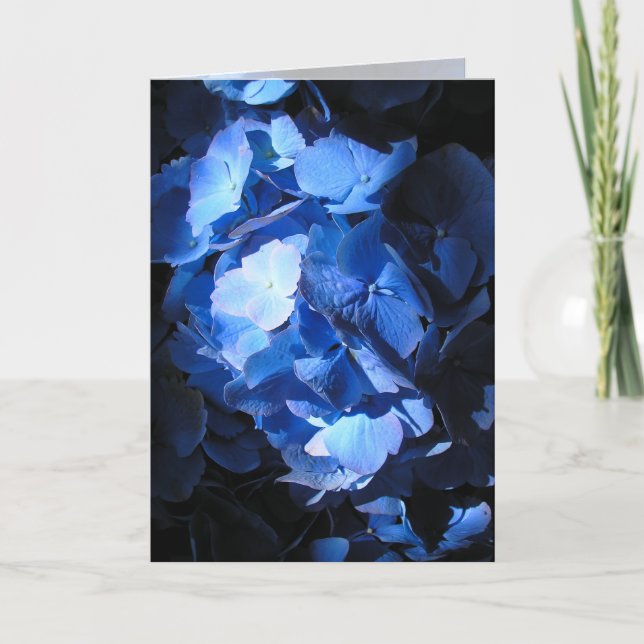 Blue Hydrangea - Greeting Card (Front)