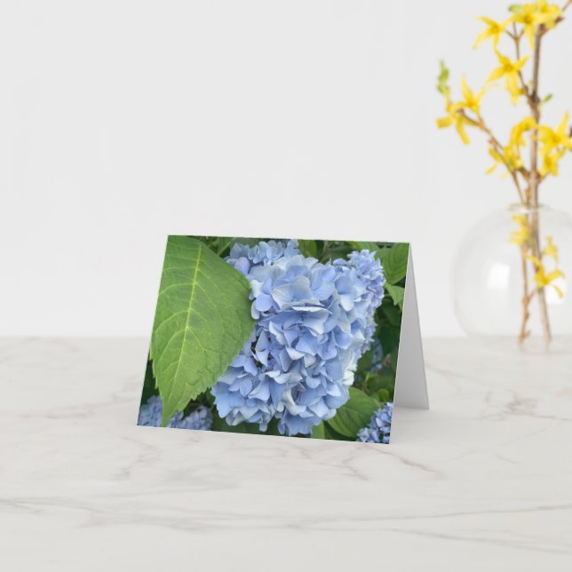 Blue Hydrangea (Hydrangea macrophylla) card (Yellow Flower)