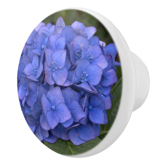 Blue Hydrangea Laurel Floral Ceramic Knob (Right)