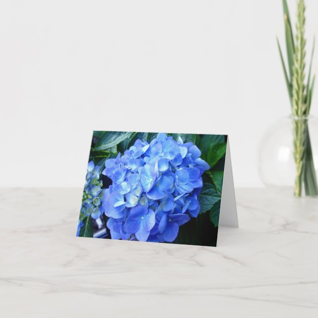 Blue Hydrangea Note Card (Front)