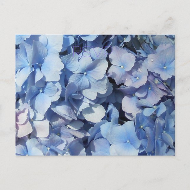 Blue Hydrangea RSVP Wedding Invitation Postcard (Front)