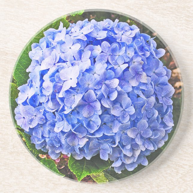 BLUE HYDRANGEA SANDSTONE COASTER (Front)