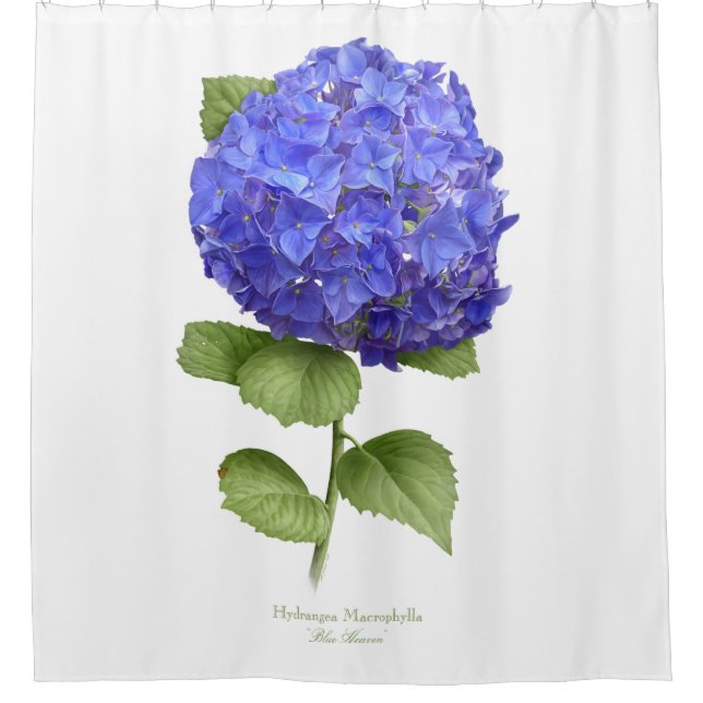 Blue Hydrangea Shower Curtain (Front)