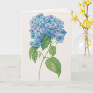 Blue Hydrangea Thinking of You Card