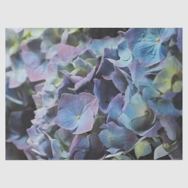 Blue Hydrangea Tissue Paper (Front)