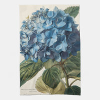 Blue Hydrangea Vintage
