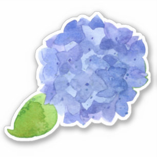 Blue Hydrangea Watercolor Flower