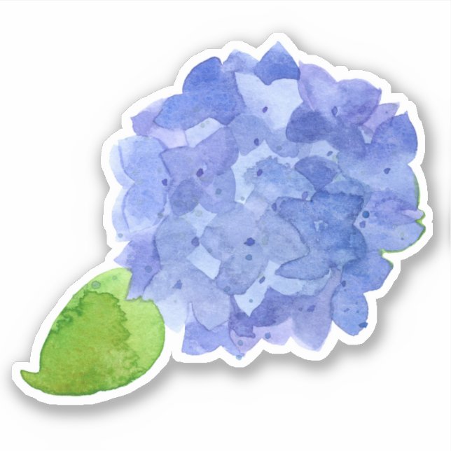 Blue Hydrangea Watercolor Flower (Front)