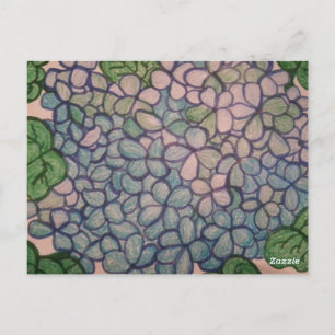 Blue Hydrangeas 1 Postcard
