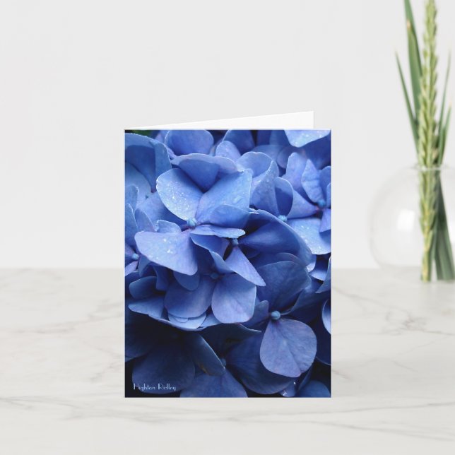 Blue Hydrangeas blank notelet / card (Front)