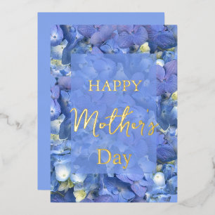 Blue Hydrangeas Blooms Mother's Day   