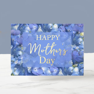 Blue Hydrangeas Blooms Mother's Day