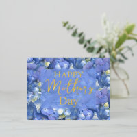 Blue Hydrangeas Blooms Mother's Day