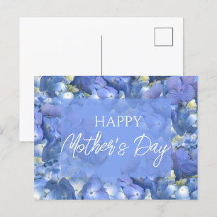 Blue Hydrangeas Blooms Mother's Day    Postcard