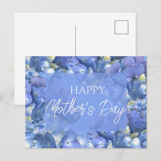 Blue Hydrangeas Blooms Mother's Day    Postcard (Front/Back)