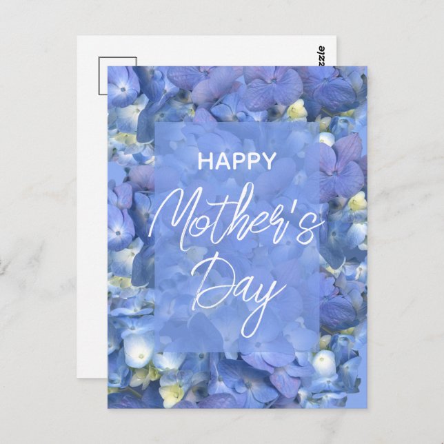 Blue Hydrangeas Blooms Mother's Day    Postcard (Front/Back)