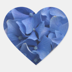 Blue Hydrangeas Heart Sticker