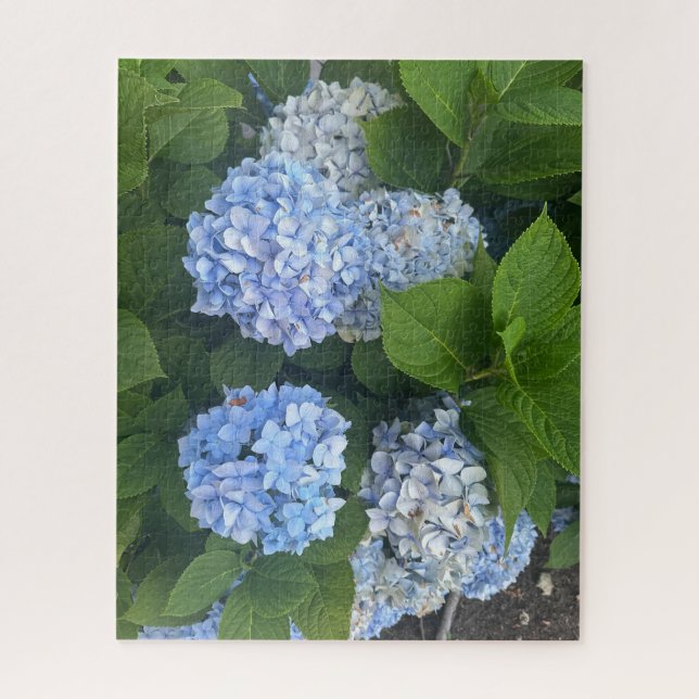 Blue Hydrangeas, San Lorenzo Jigsaw Puzzle (Vertical)