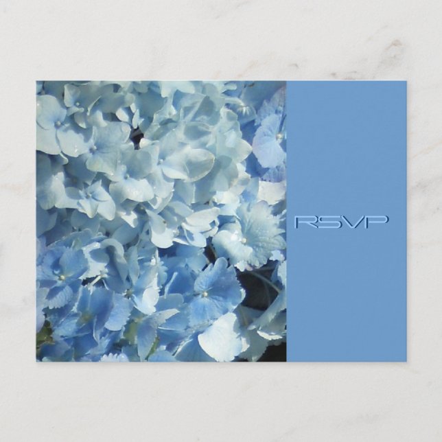 Blue Hydrangeas Wedding RSVP Invitation Postcard (Front)