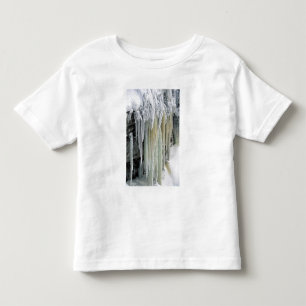 Blue Ice and Ground Water Run Off; Tahquamenon Toddler T-Shirt